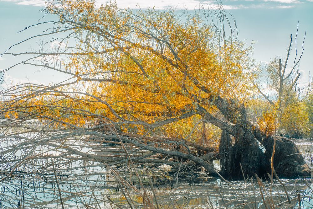 Фотография автора Вадим Коваленко