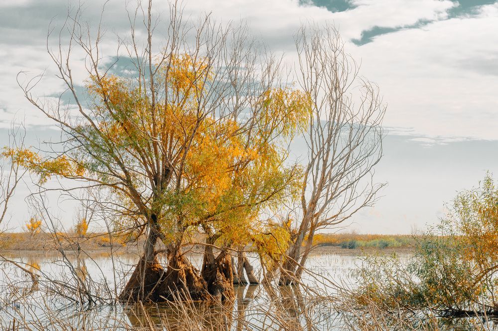 Фотография автора Вадим Коваленко