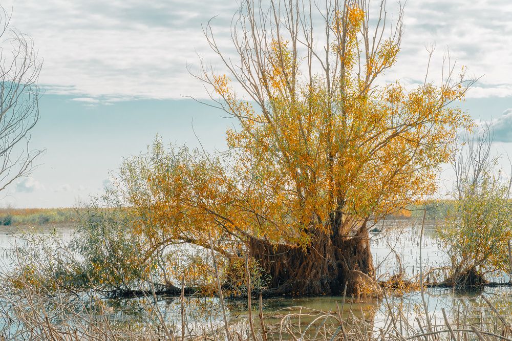 Фотография автора Вадим Коваленко