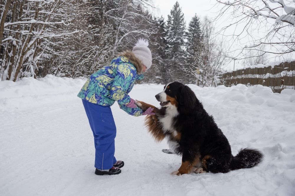 Photograph by Olga Varlamova
