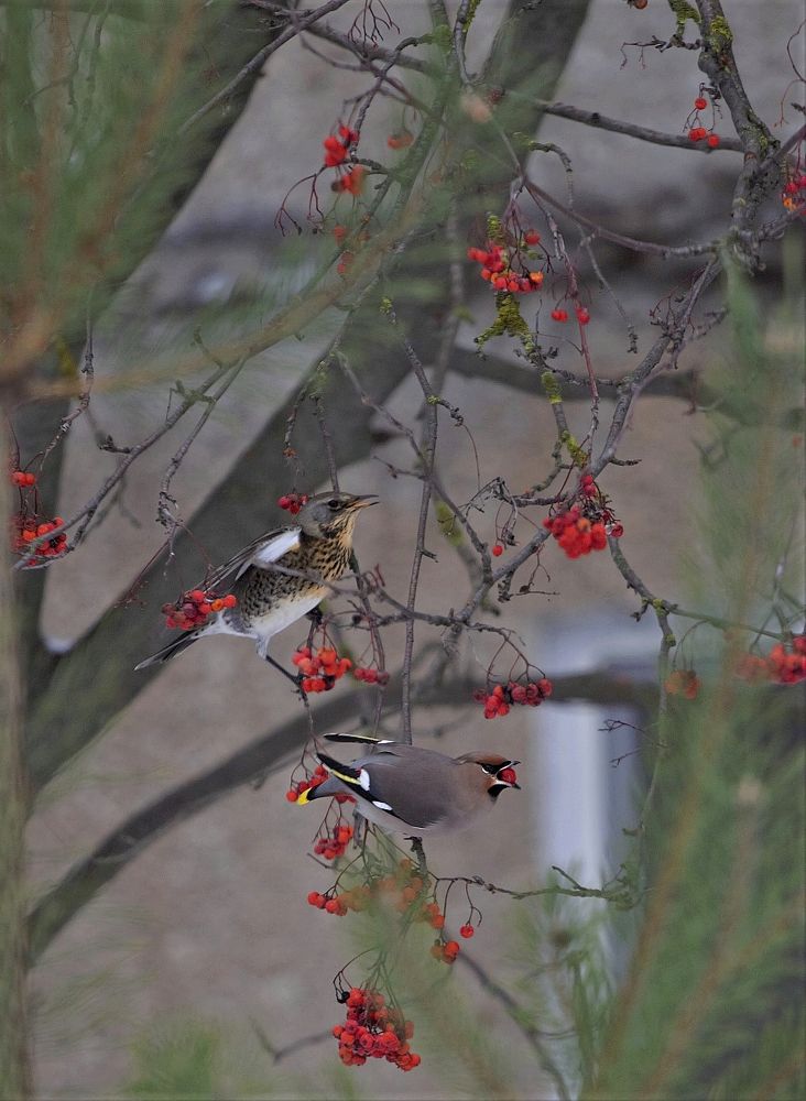 Photograph by Владимир
