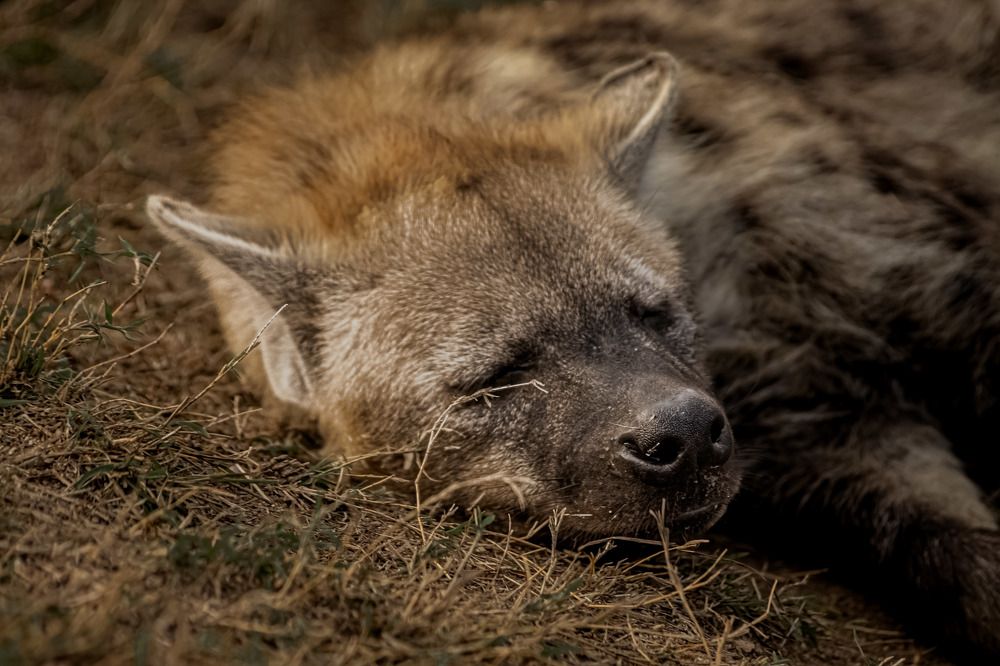 Photograph by Keegan Boland