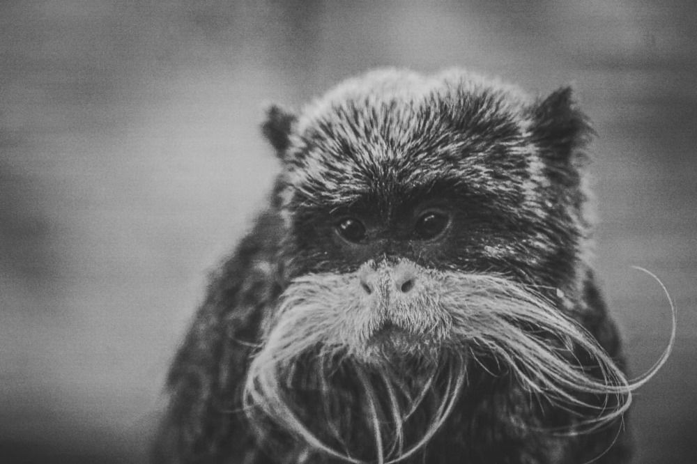 Photograph by Keegan Boland