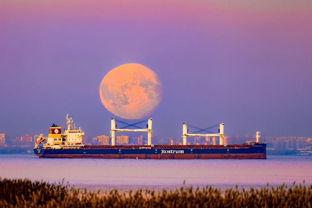 Photograph by Chic.chiquitita