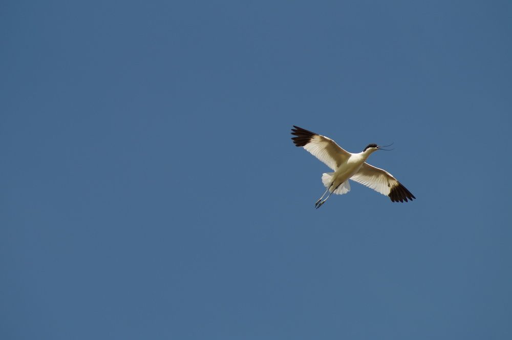 Photograph by Дарья Ринас