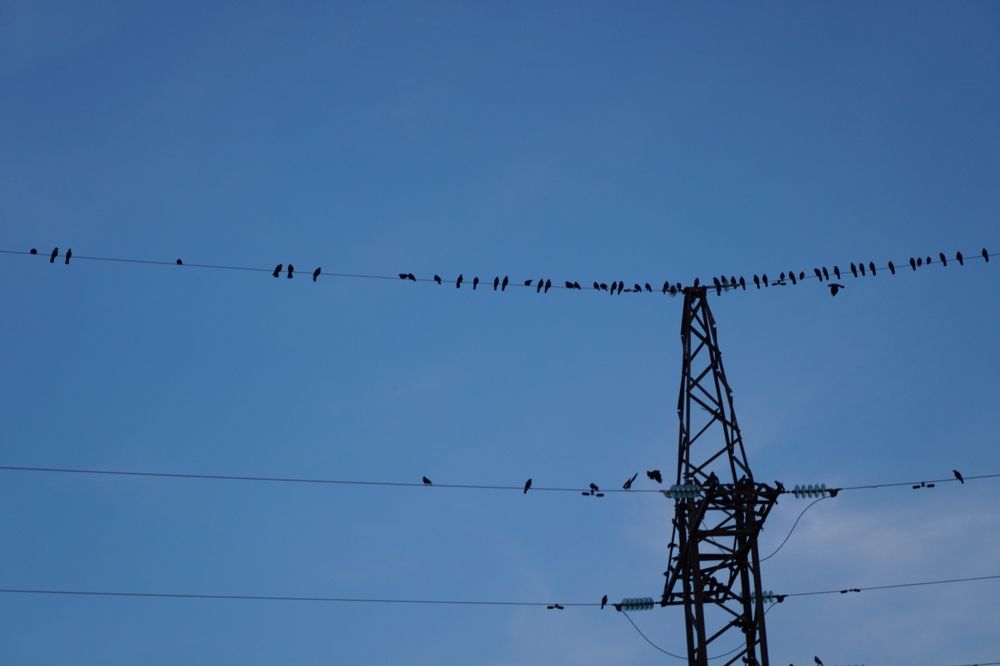 Photograph by Дарья Ринас