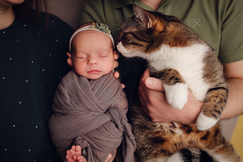 Photograph by Алевтина Горбаненко