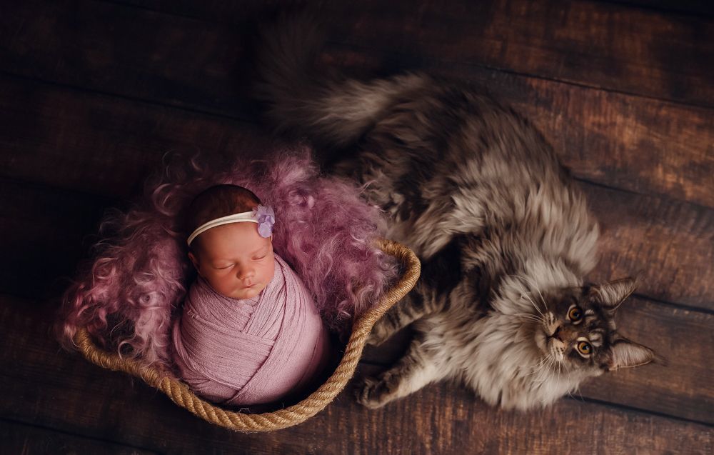 Photograph by Алевтина Горбаненко