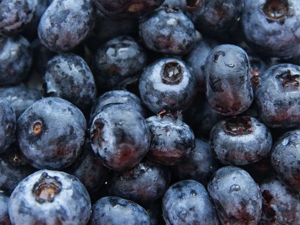 Photograph by Екатерина Сафронова