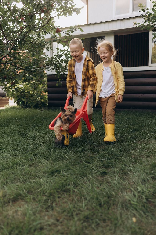 Photograph by Екатерина Белкина