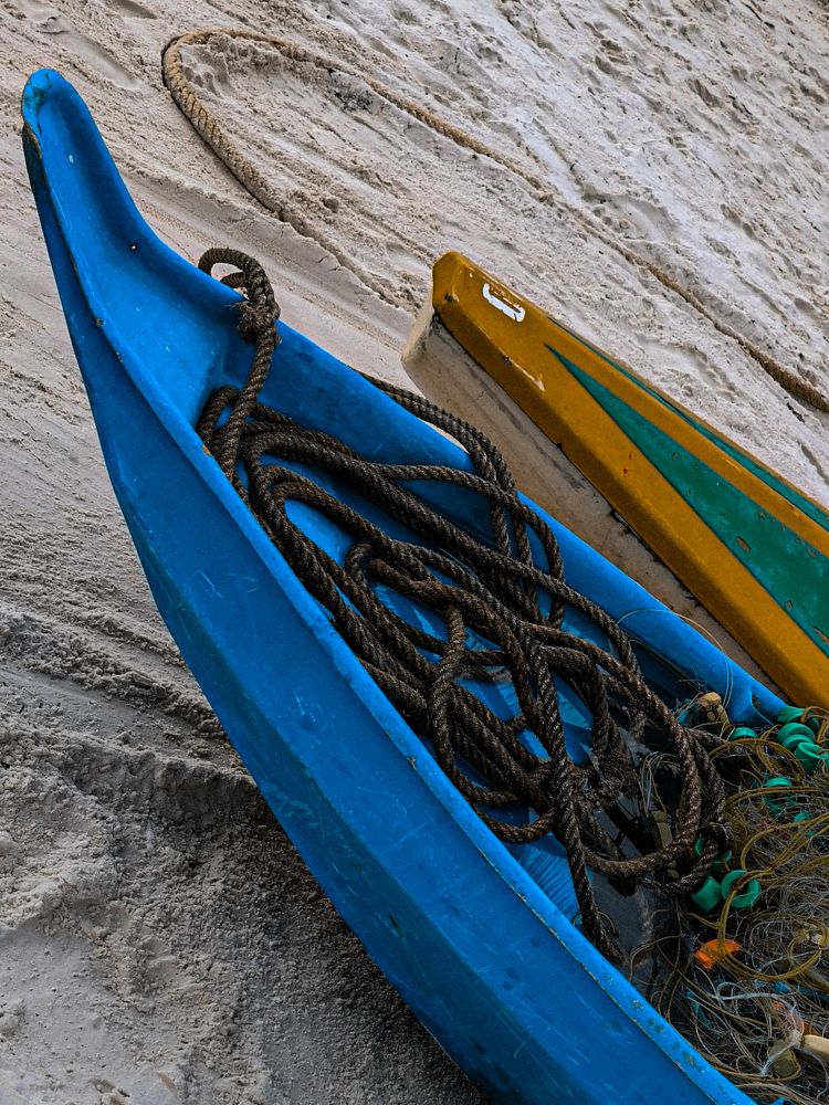 Photograph by Ksenija Bartoško