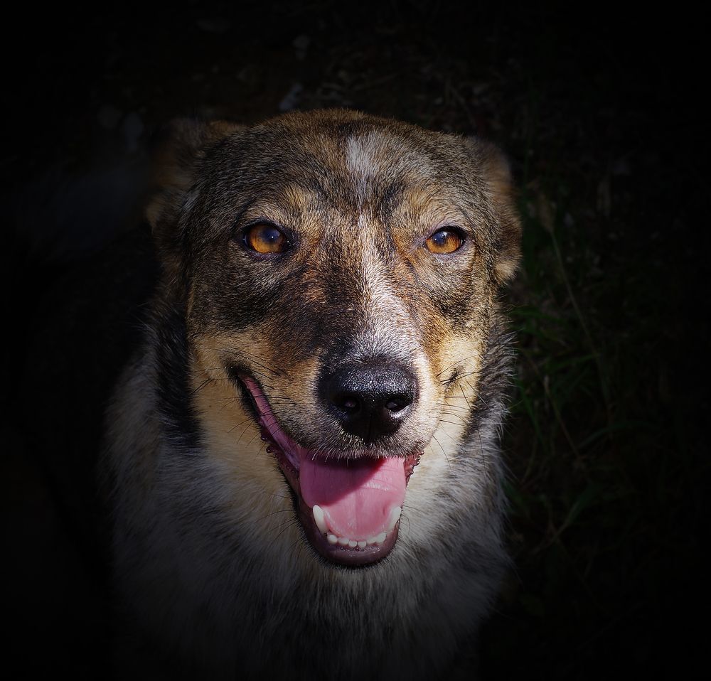 Фотография автора Сергей Гречихин