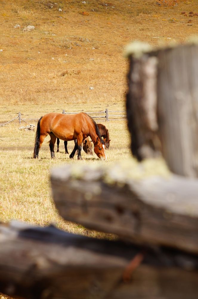 Photograph by Елена Куртукова