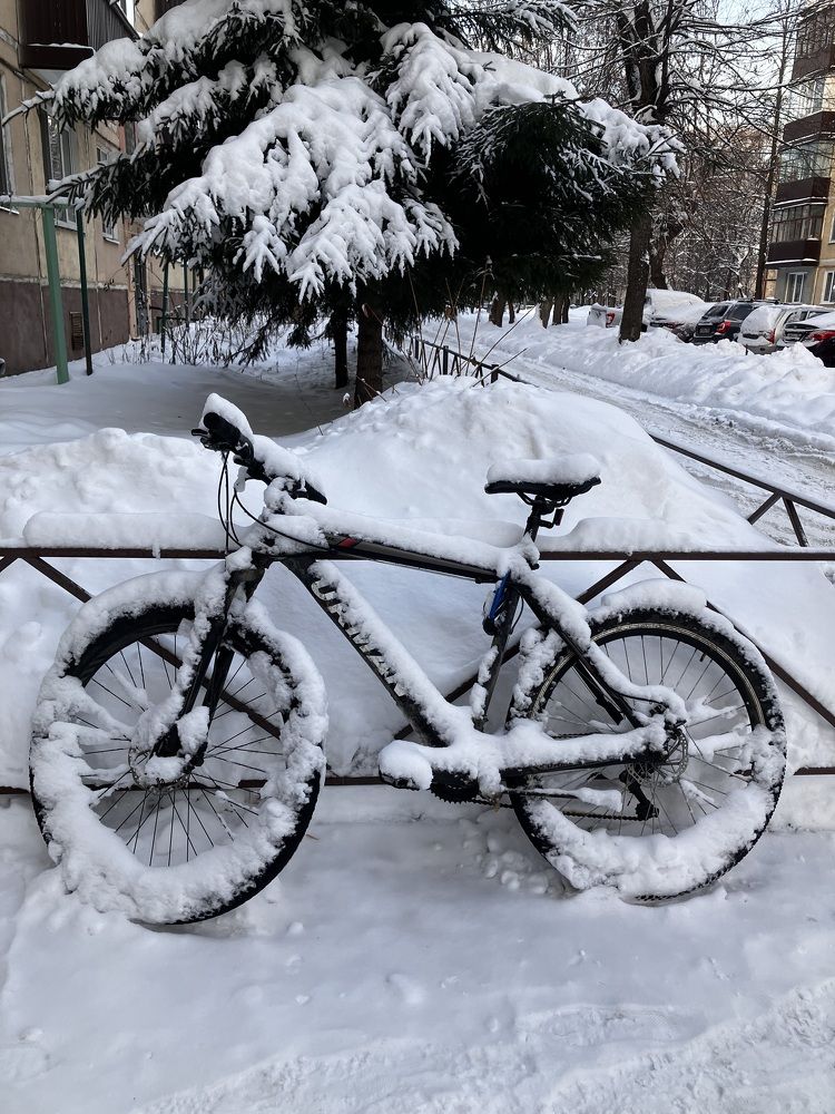 Photograph by Мария Карпычева