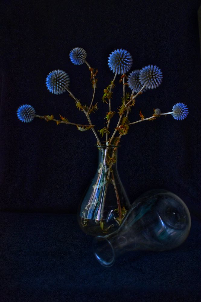 Фотография автора Екатерина Круглик