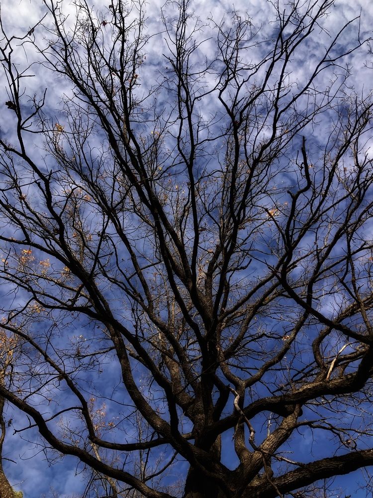 Photograph by Мария Карпычева