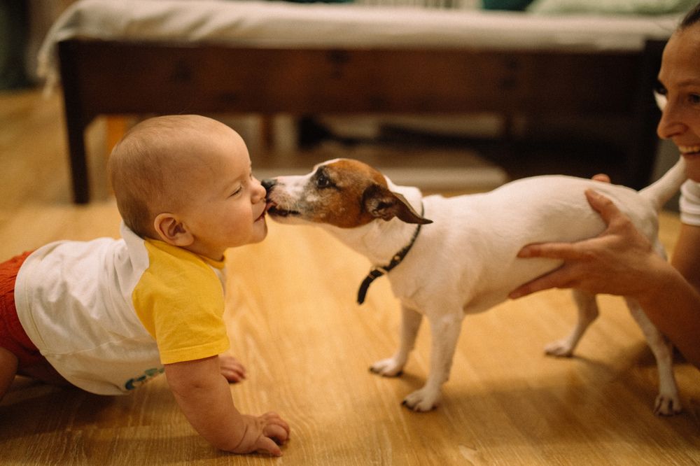 Photograph by Валерия Ефименко