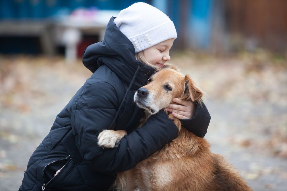 Photograph by Алексей Пирязев
