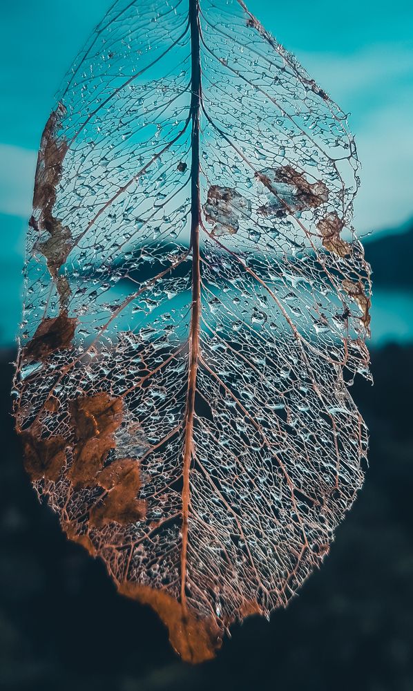 Photograph by Volkan Özdemir