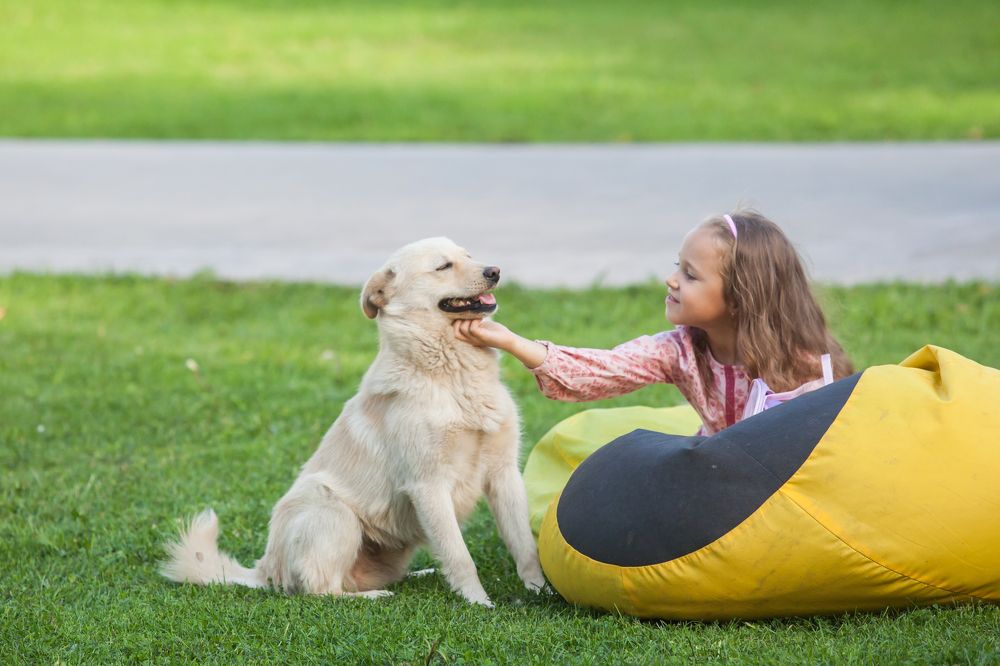 Photograph by Алексей Пирязев