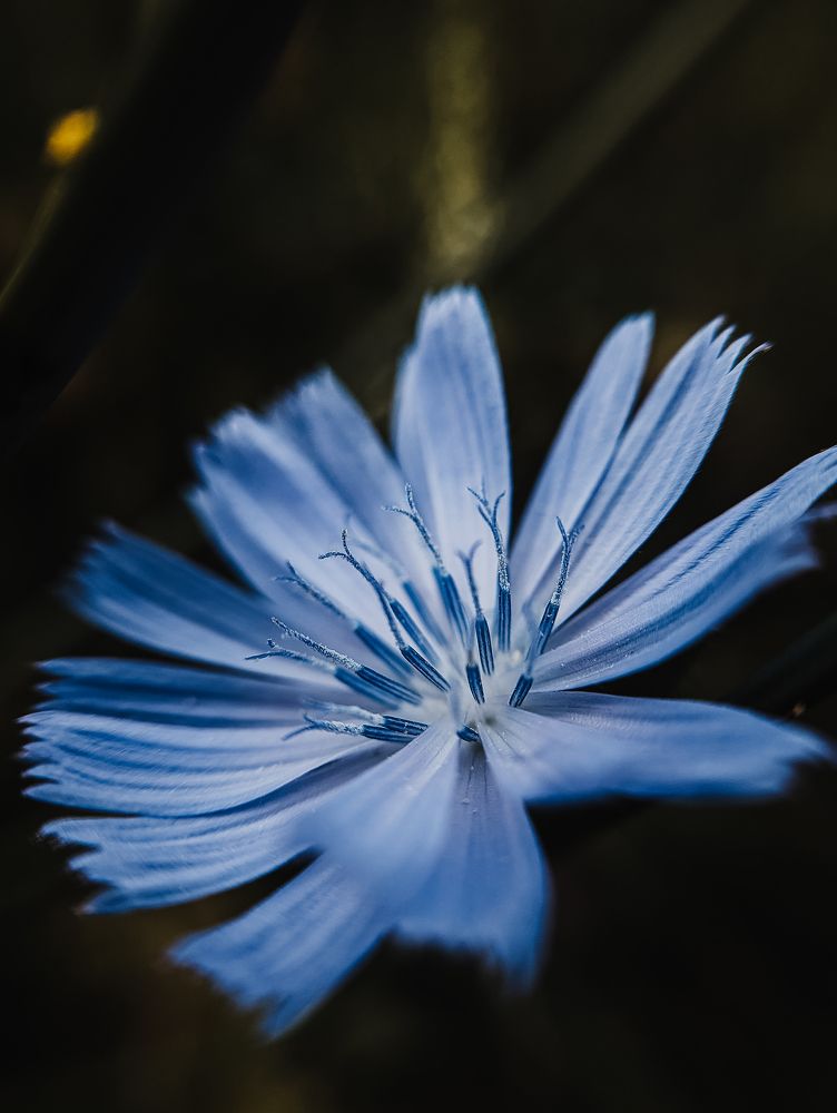 Фотография автора Мария Михайлова