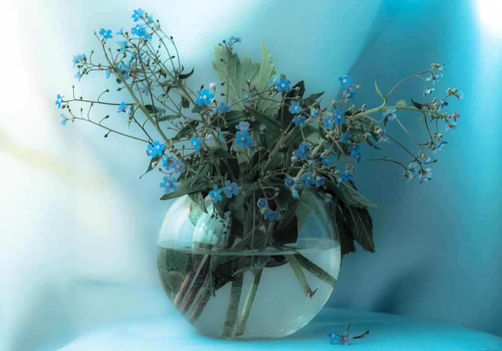 Photograph by Любовь Иванова