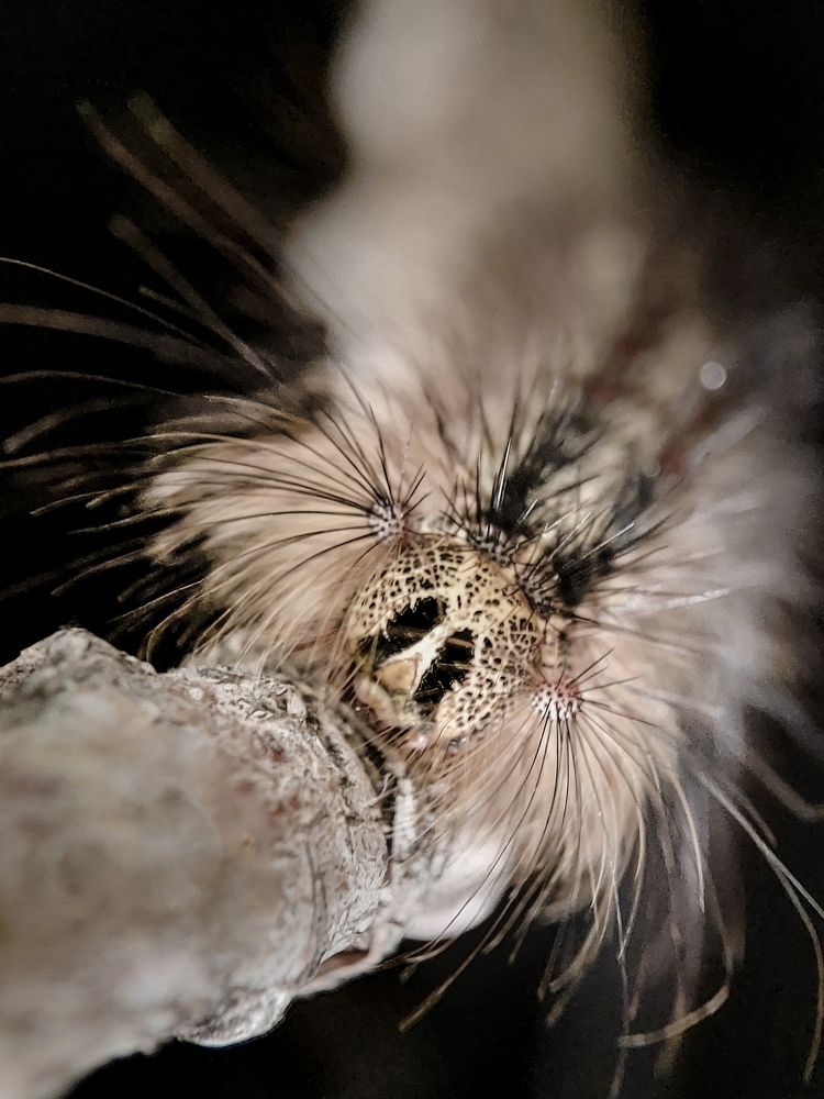 Photograph by Анна Чичилова