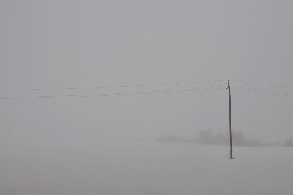 Photograph by Екатерина Молчанова