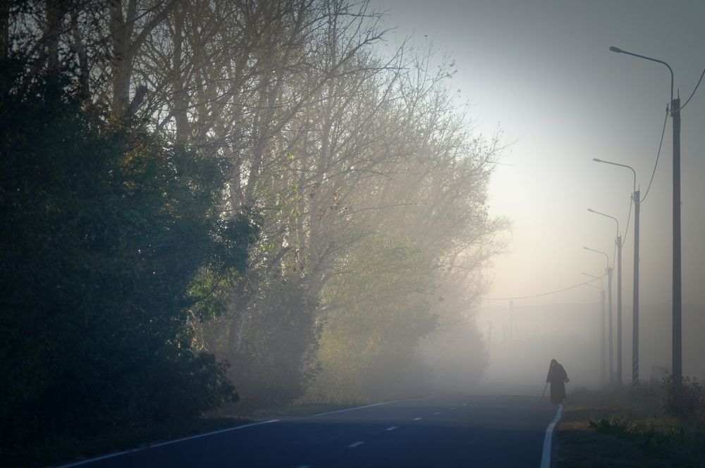 Photograph by Екатерина Молчанова