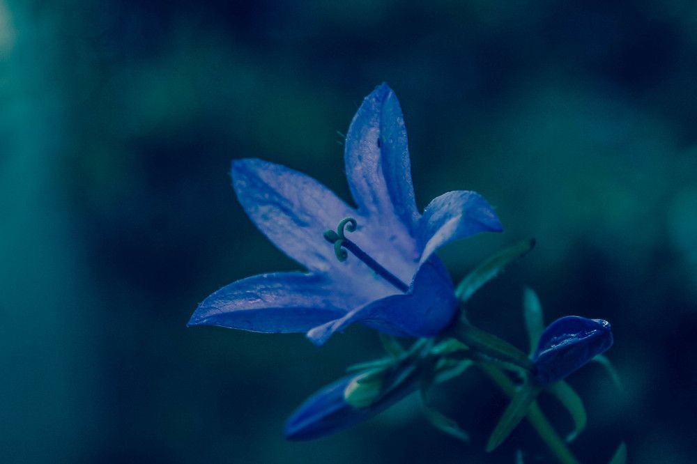 Photograph by Любовь Иванова