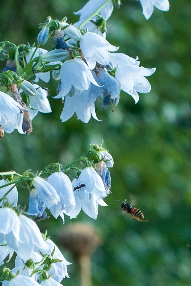 Photograph by Екатерина Осколкова