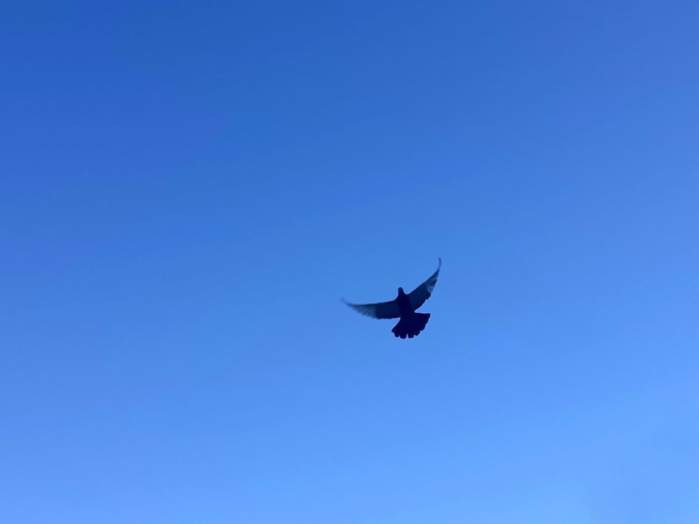 Photograph by Александра Ламанова
