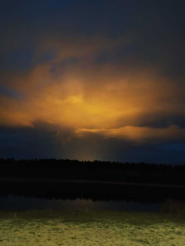 Фотография автора Екатерина Косарева