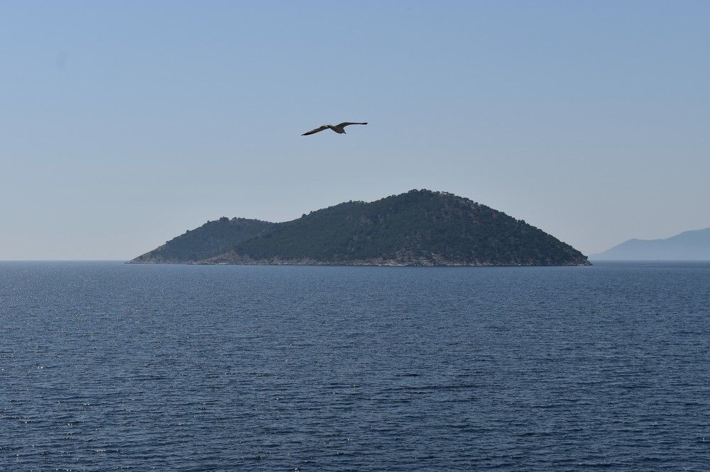 Photograph by Анна Стрельченко