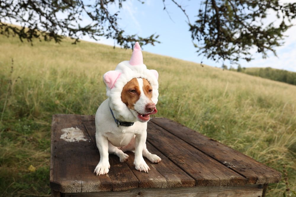 Photograph by Любовь Ершова