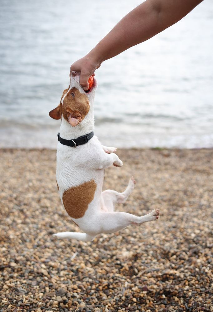 Photograph by Любовь Ершова