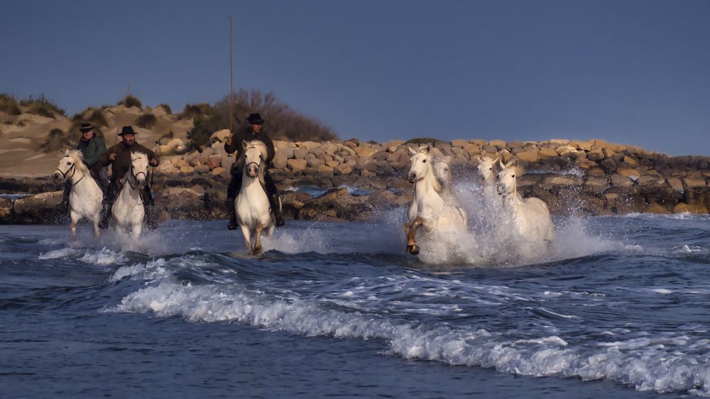 Photograph by Adrian Adi Gli