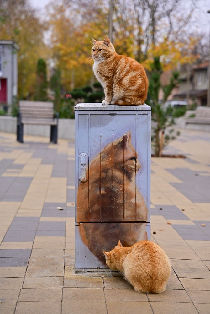 Photograph by Наталья Сергеева