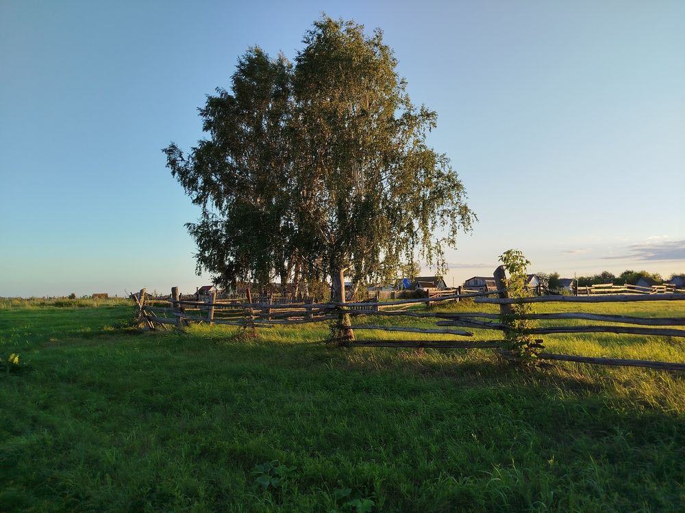 Photograph by Зульфия