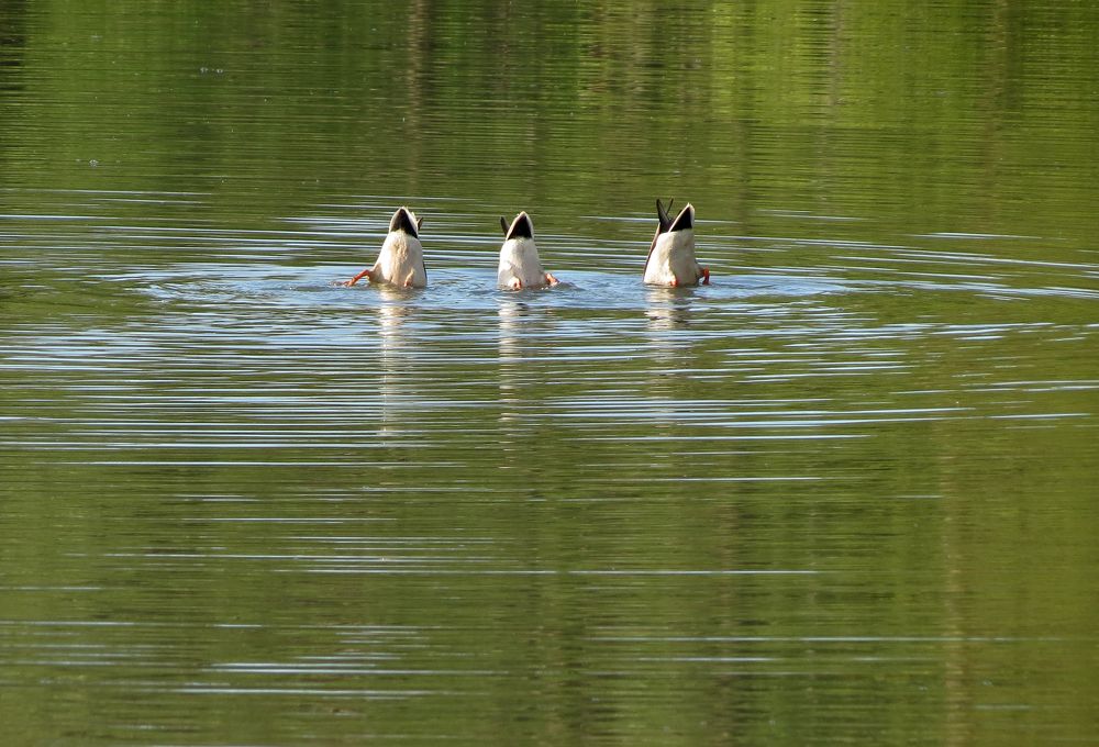 Photograph by Андрей Осмоловский