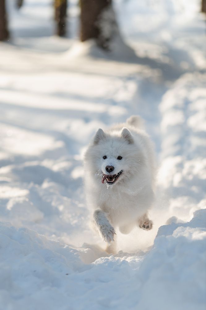 Photograph by Vyacheslav Bolyakin