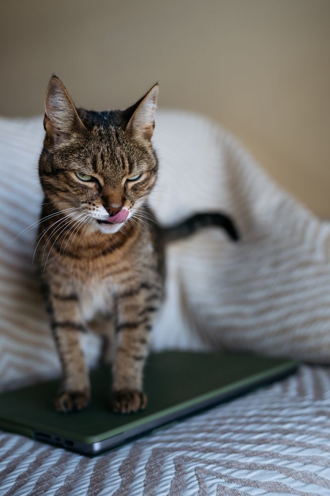 Photograph by Maria Borovkova