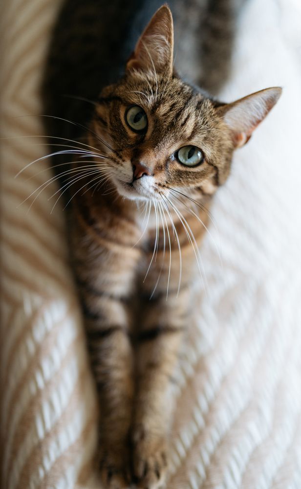 Photograph by Maria Borovkova