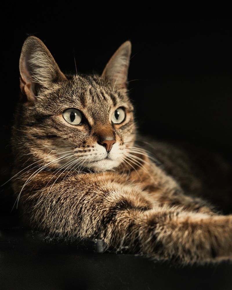 Photograph by Maria Borovkova