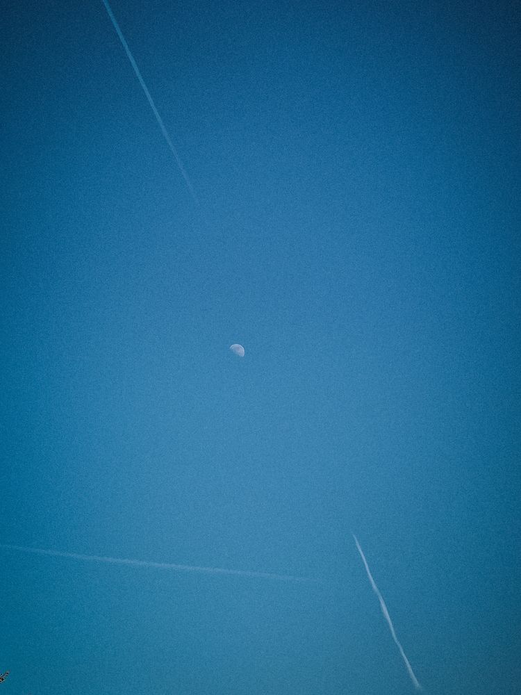 Photograph by Liudmila Kirillova