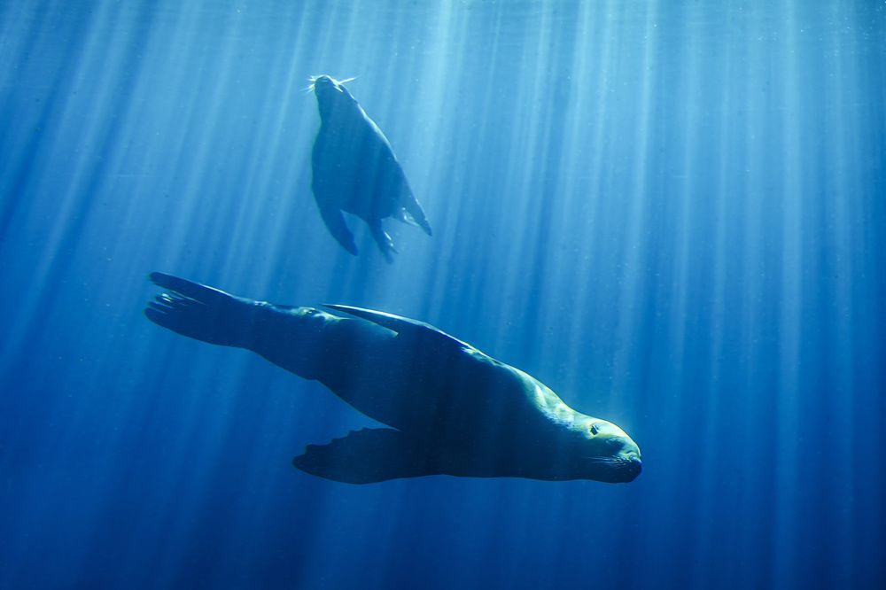 Photograph by Irina Ostapenko (Nepavlova)