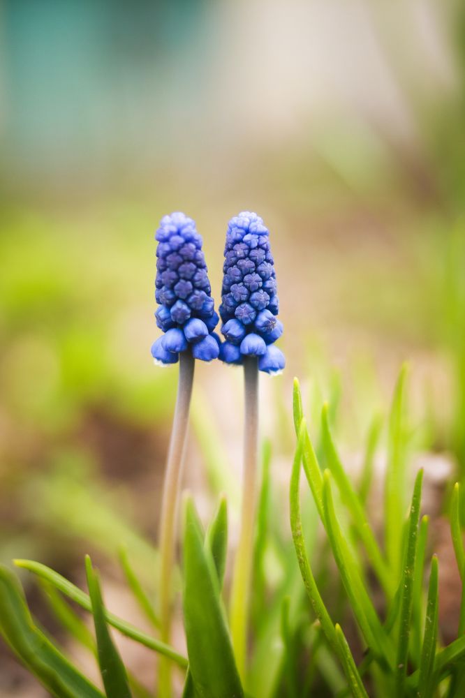 Photograph by Anna Turks