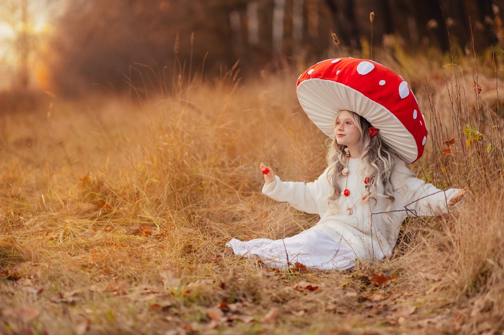 Осенний грибочек