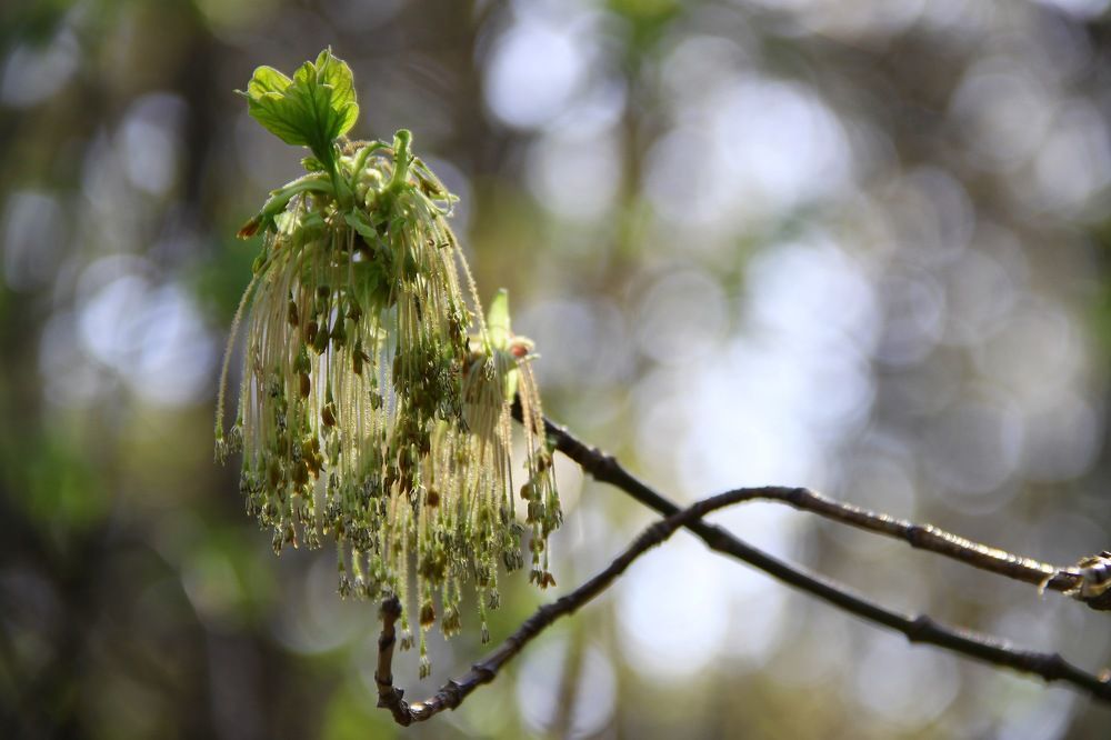 Photograph by Елена Шелуханова