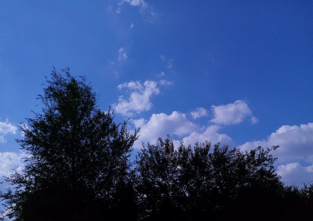 Photograph by Татьяна Шевченко